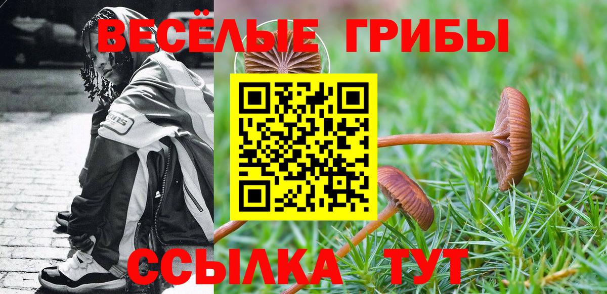 Кизилюрт  Галлюциногенные грибы прущие грибы  Вход с VPN 